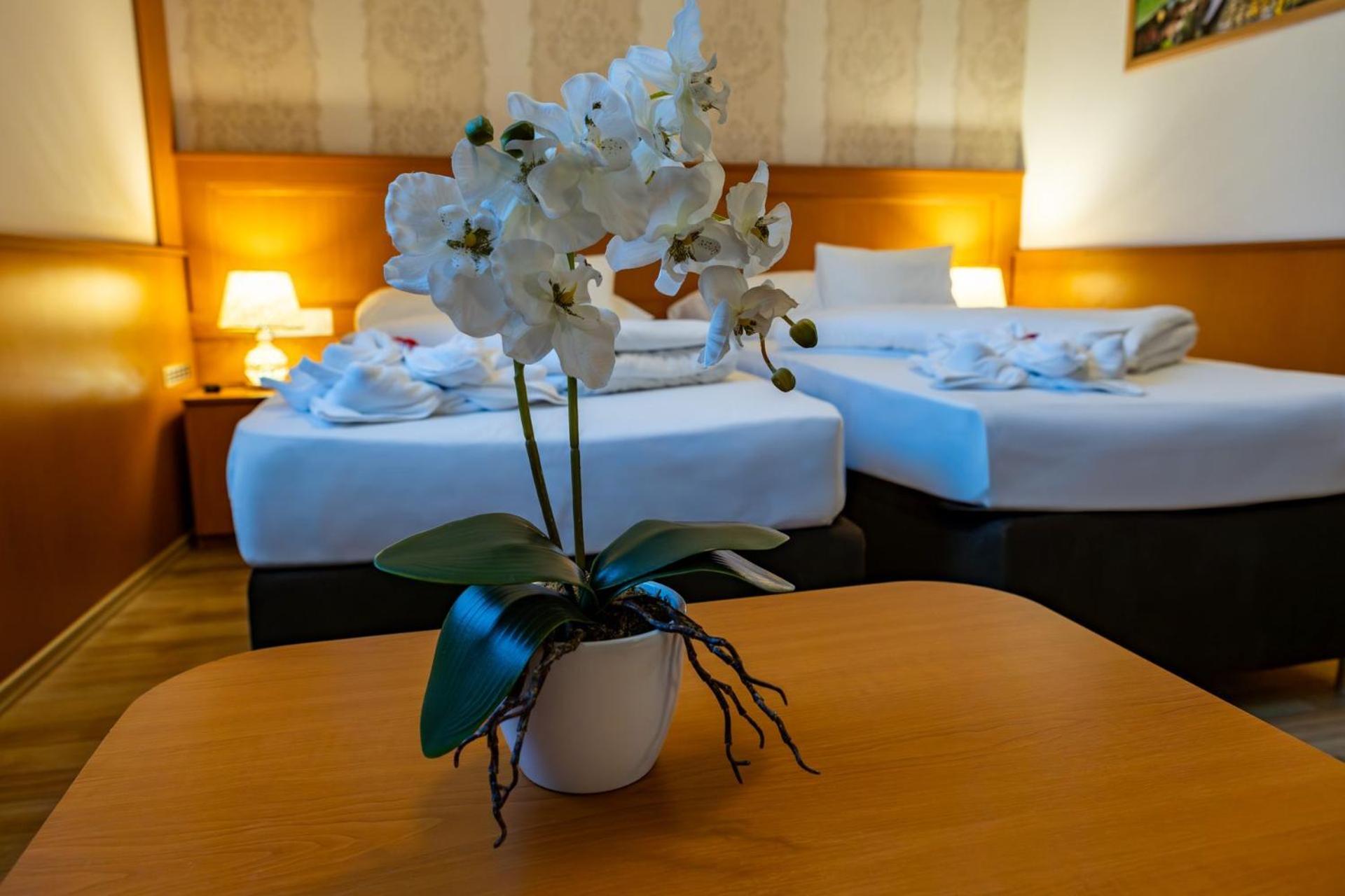 פץ' Hotel Barbakan מראה חיצוני תמונה